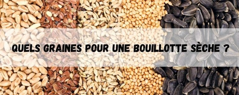 Quels graines pour une bouillotte sèche ?