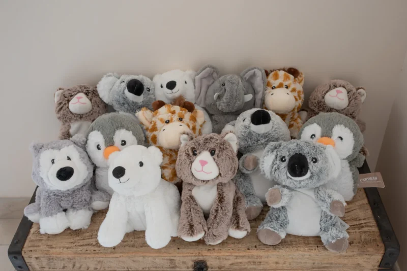 image bouillotte peluche